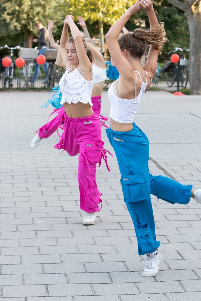 Schoolplein Festival A355.jpg